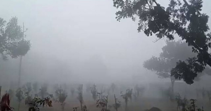 কুয়াশায় ঢেকে আছে দেশের বেশিরভাগ এলাকা